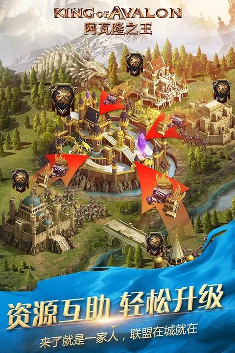 阿瓦隆之王小米版_图片4