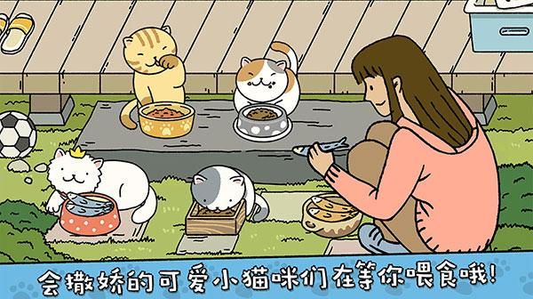 adorablehome_图片2
