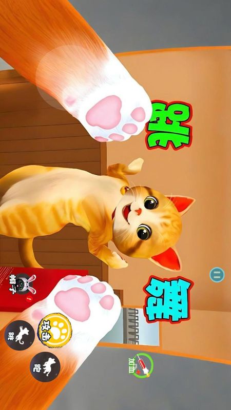 我是猫喵喵_图片2