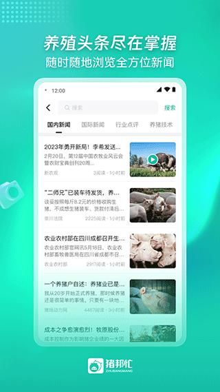 猪邦忙找工作_图片5