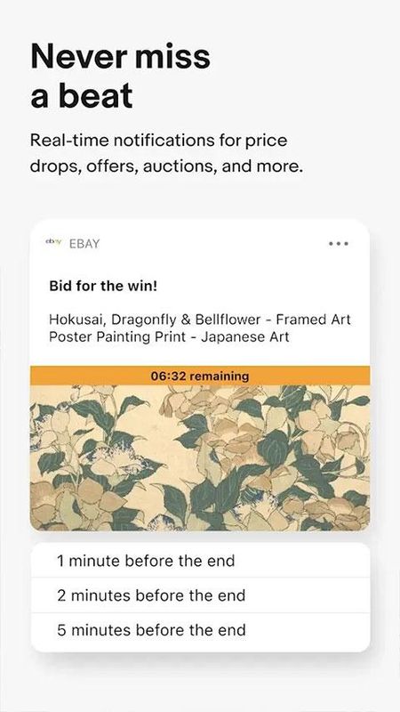 eBay_图片3
