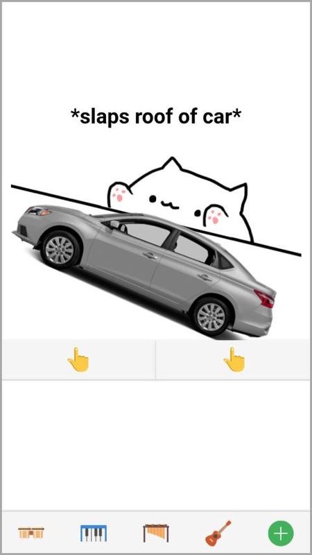 邦戈猫_图片4