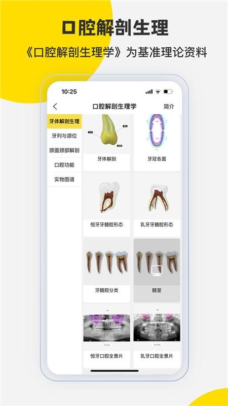 3dbody解剖图_图片4
