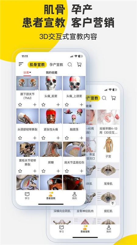 3dbody解剖图_图片3