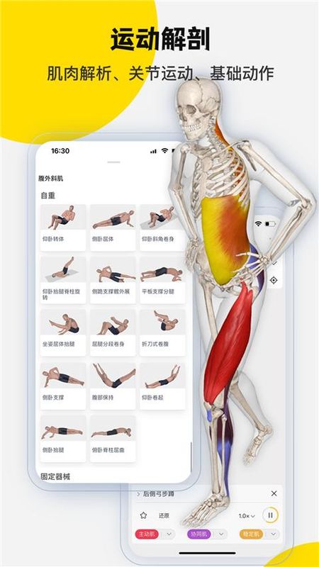 3dbody解剖图_图片1