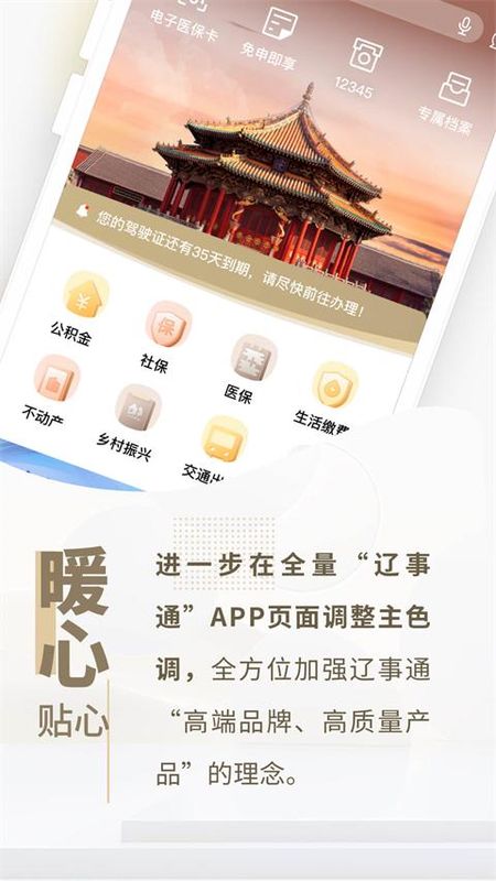 辽宁政务服务网_图片4
