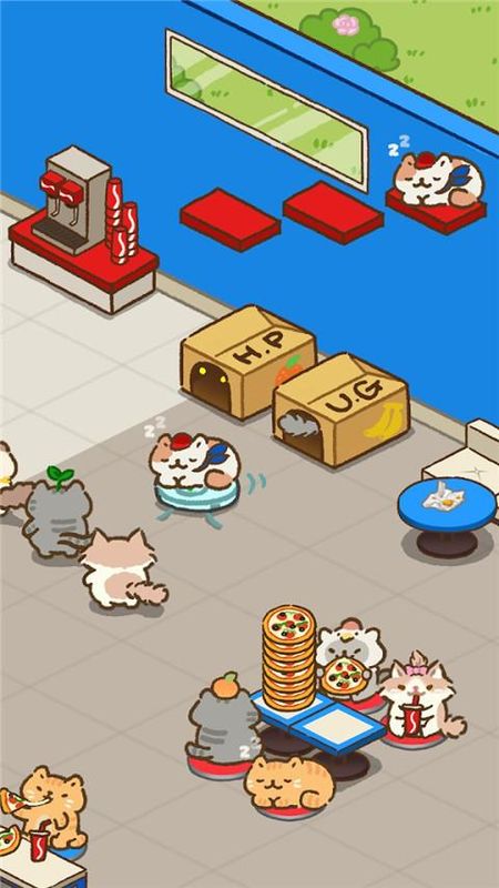 披萨猫_图片3
