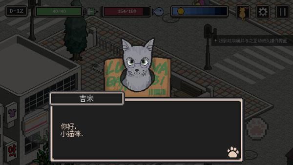 流浪猫的故事中文版_图片3
