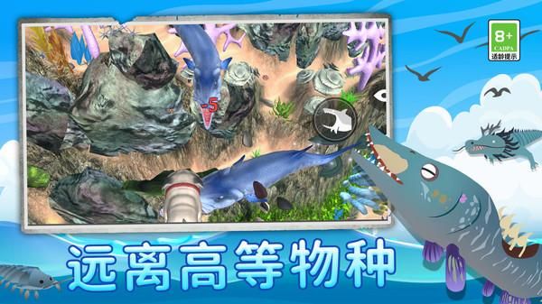 鲨鱼进化记_图片5