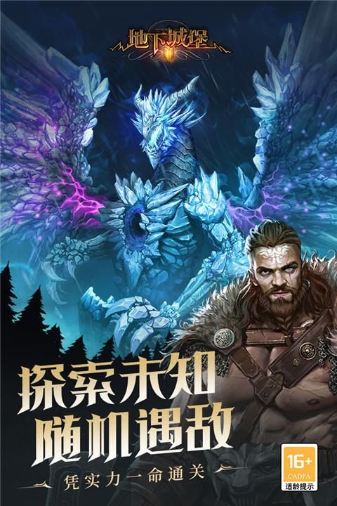 地下城堡2黑暗觉醒vivo版_图片3
