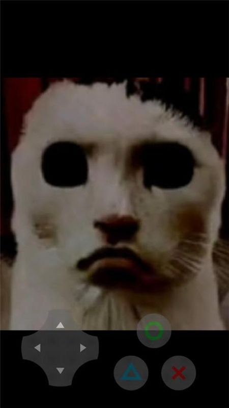 猫猫惊魂正版_图片5