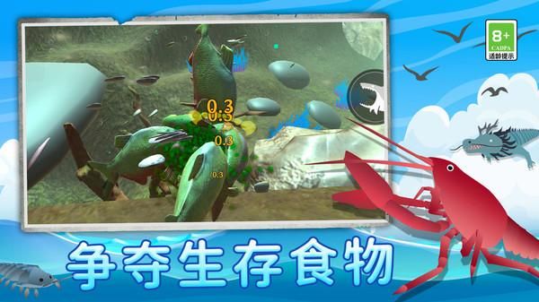 鲨鱼进化记_图片4