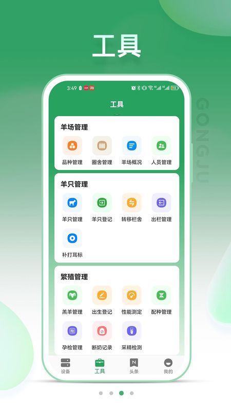 SheepLink_图片3
