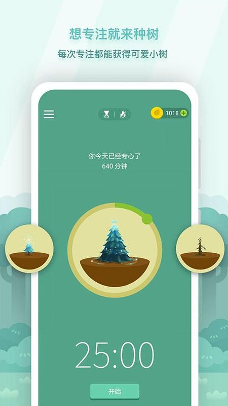 专注森林_图片3