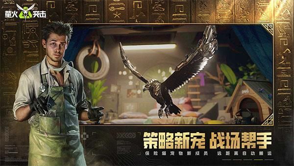 萤火突击国服_图片5