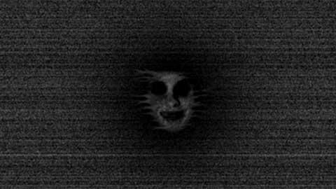 恐怖森林_图片4