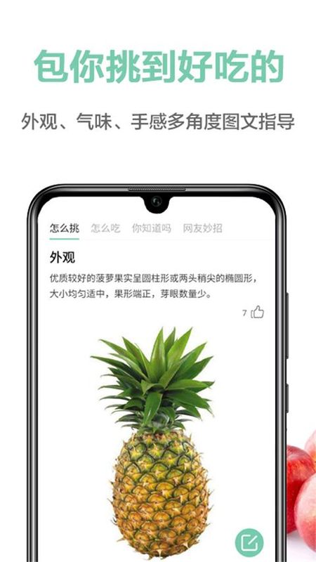果蔬百科_图片5