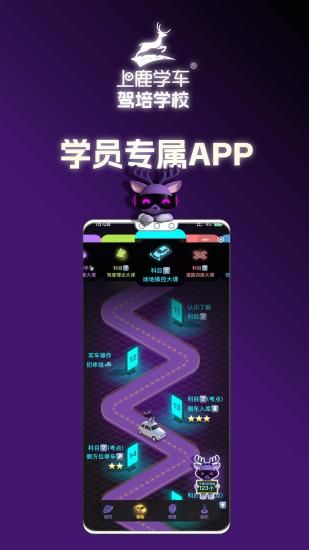 上鹿学车_图片3