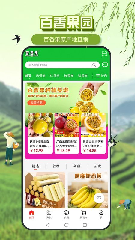 百香果_图片3