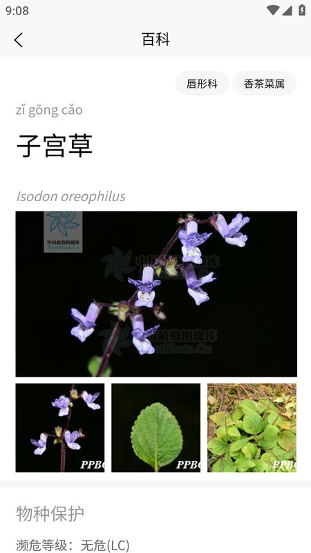 花伴侣专业版_图片4