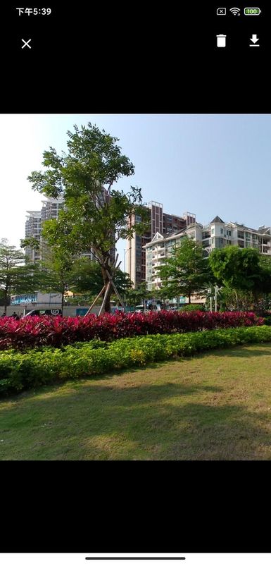 QSCamera_图片5