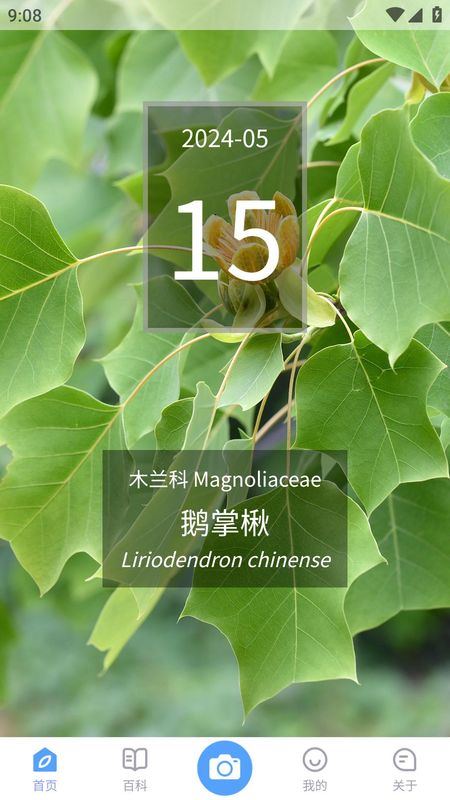 花伴侣专业版_图片1