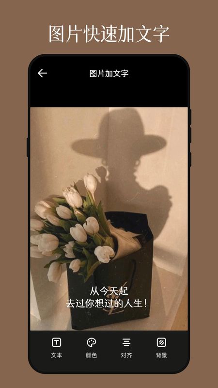 影视图片编辑器_图片2