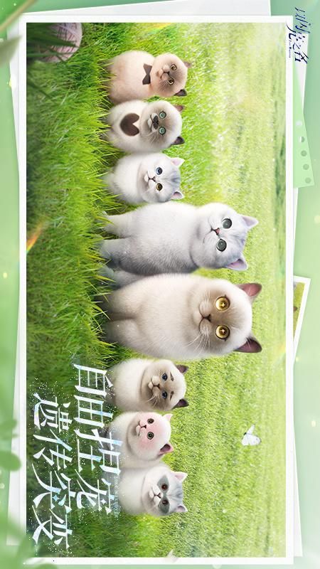 以闪亮之名下载_图片5