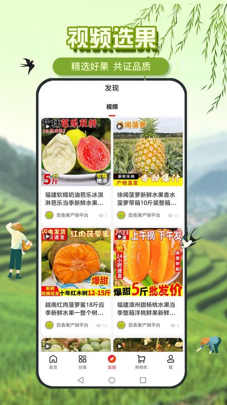 百香果_图片4