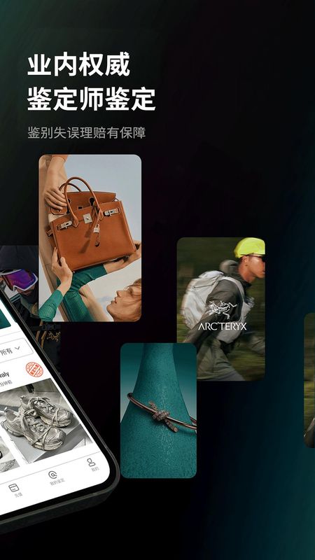 InCheck鉴定_图片2