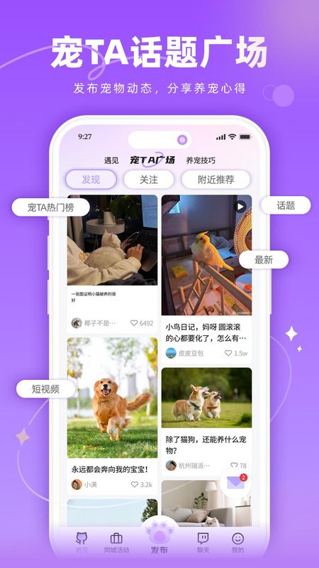 宠TA一生_图片2