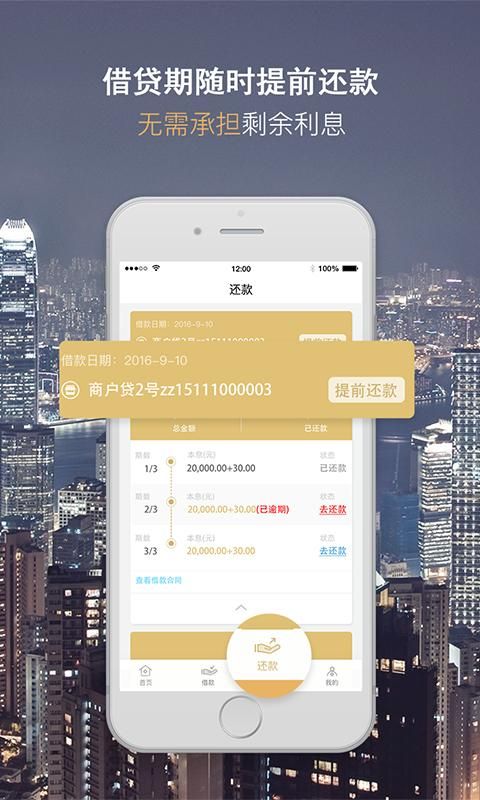 随借_图片2