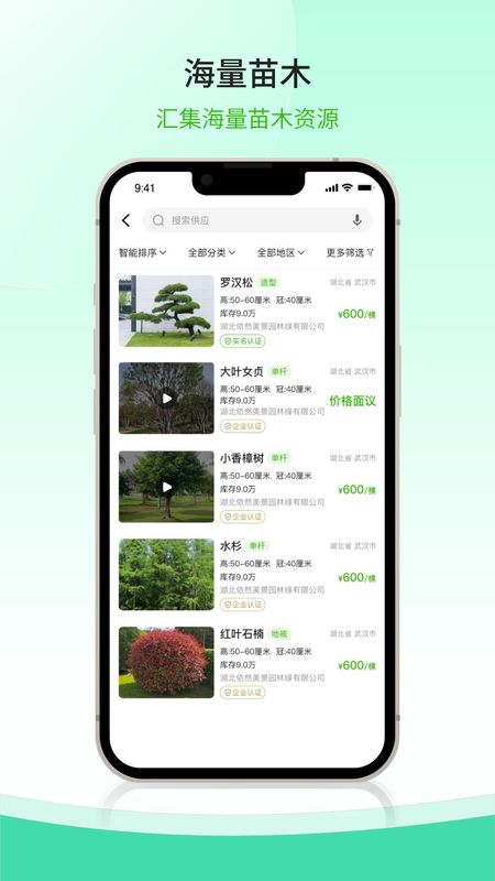 购苗木_图片1