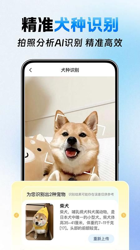 犬证办理助手_图片4