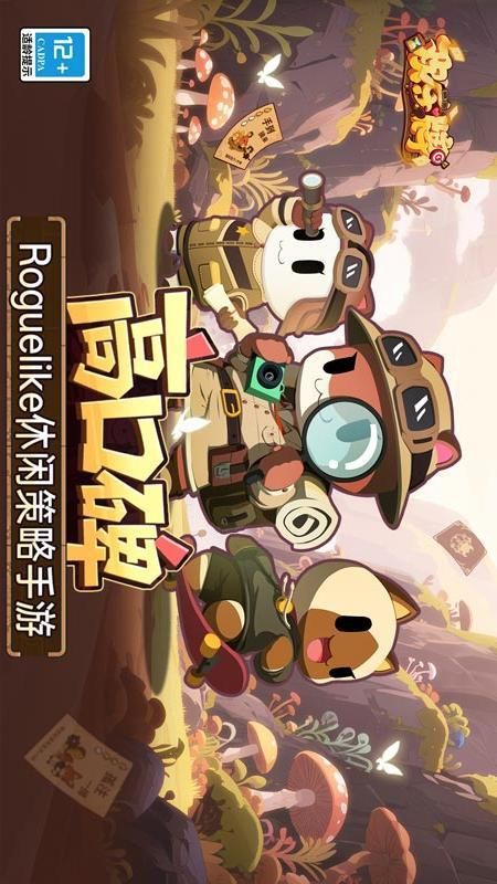 欢乐牌_图片1