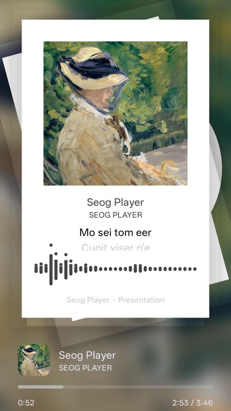 Seog Player_图片1