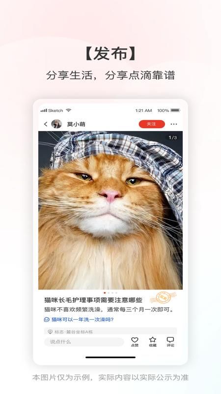 靠谱帮_图片2