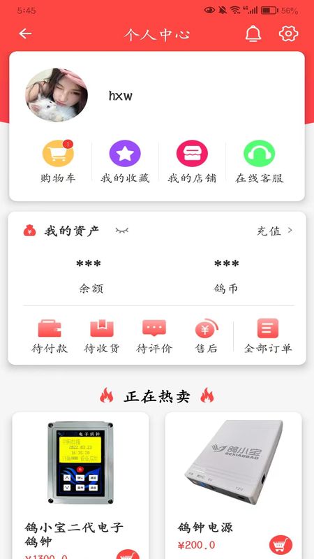 鸽小宝_图片3