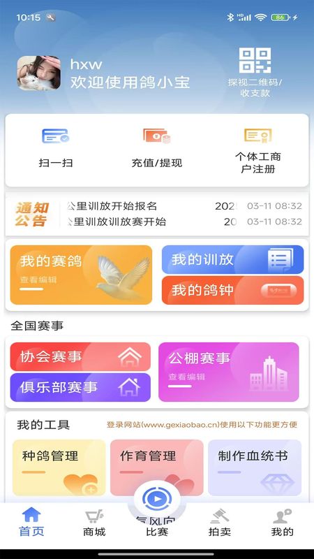 鸽小宝_图片5