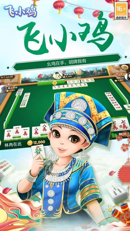 飞小鸡_图片3