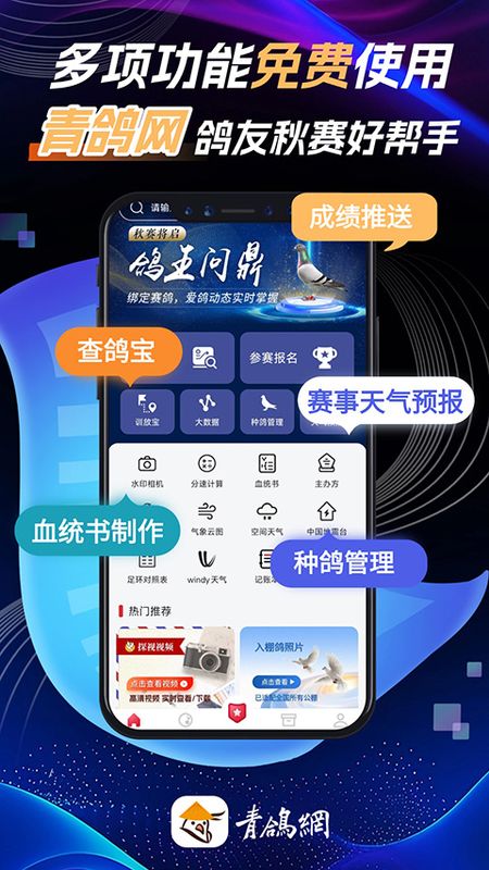 青鸽网_图片5