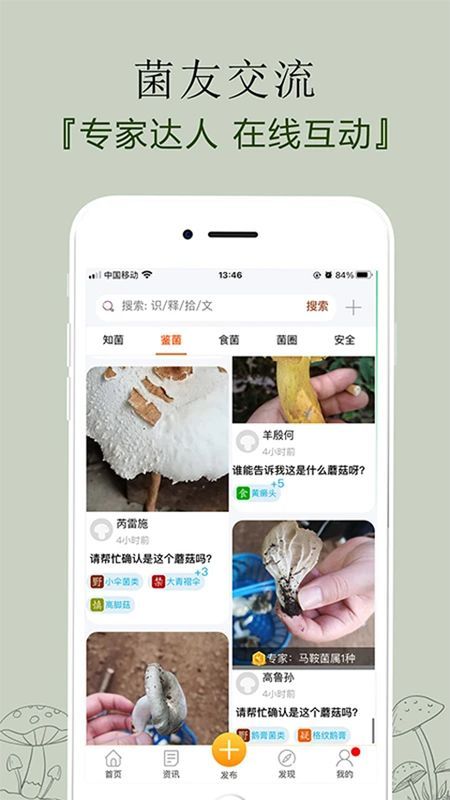 菌窝子_图片4