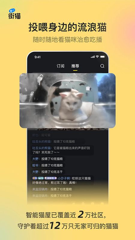 哈啰街猫软件_图片4