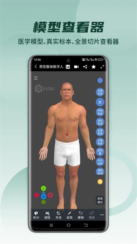 医维度解剖_图片3