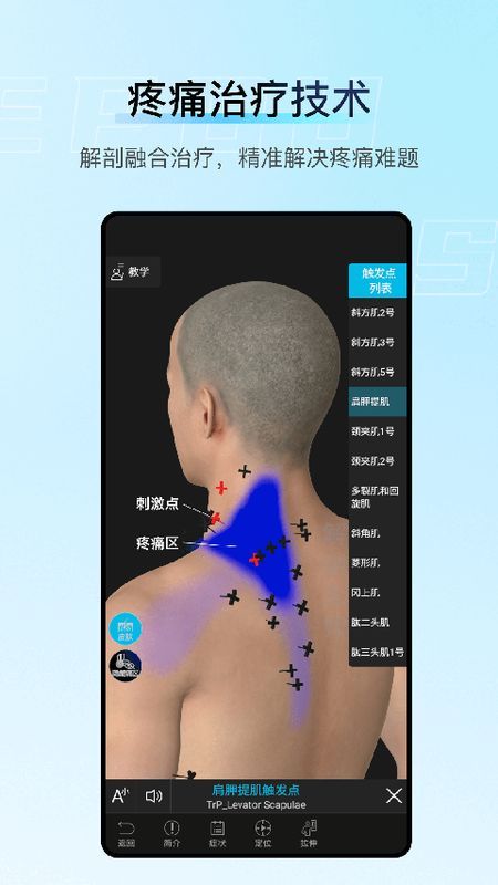 解剖大师_图片3