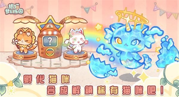旅猫梦幻乐园_图片2