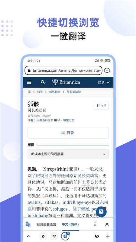 狐猴浏览器_图片5