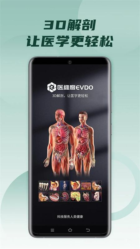 医维度解剖_图片1