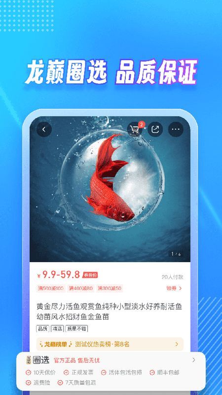 龙巅_图片4