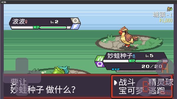 宝可梦肉鸽_图片3